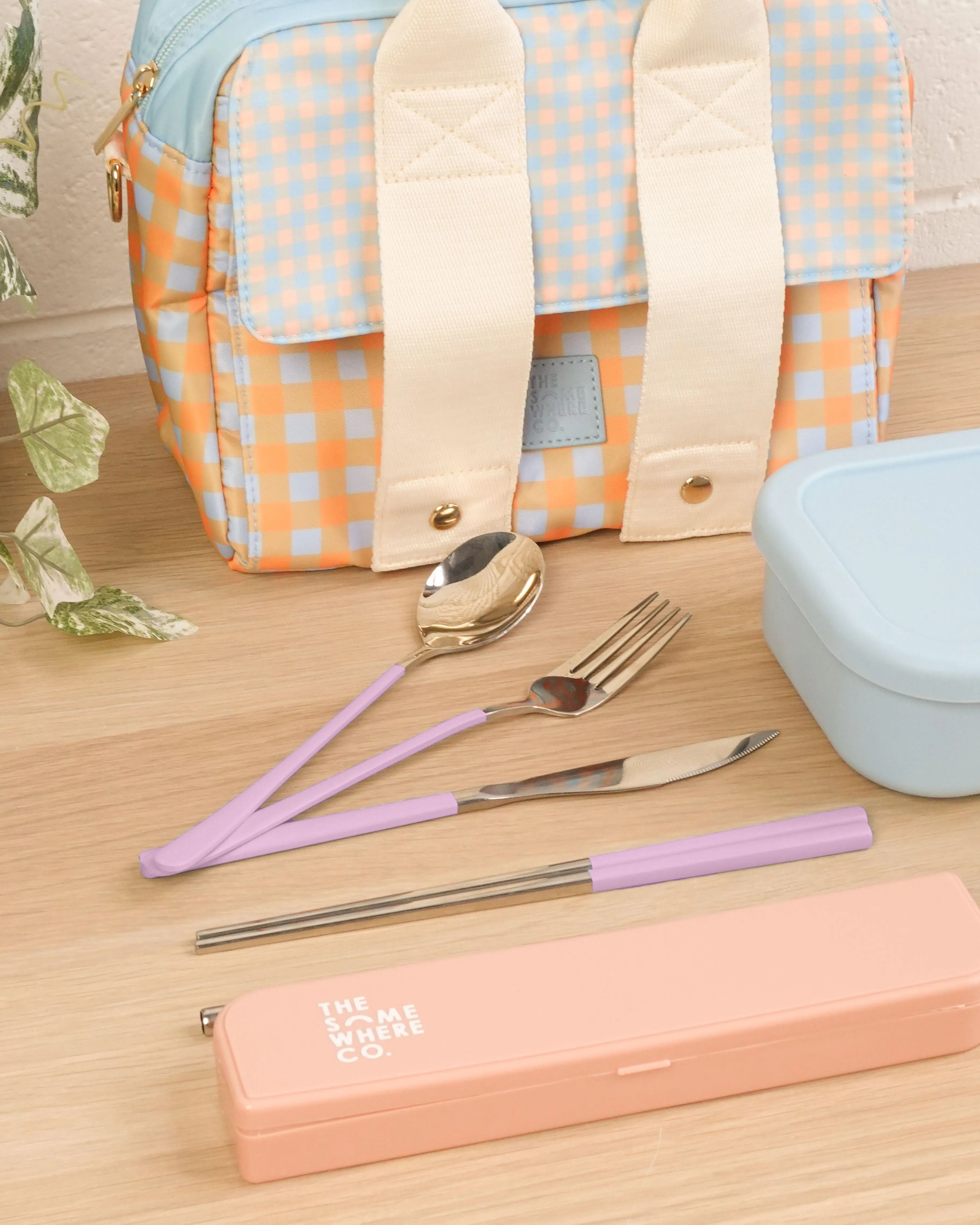 Cutlery Kit - Silver with Lilac Handle