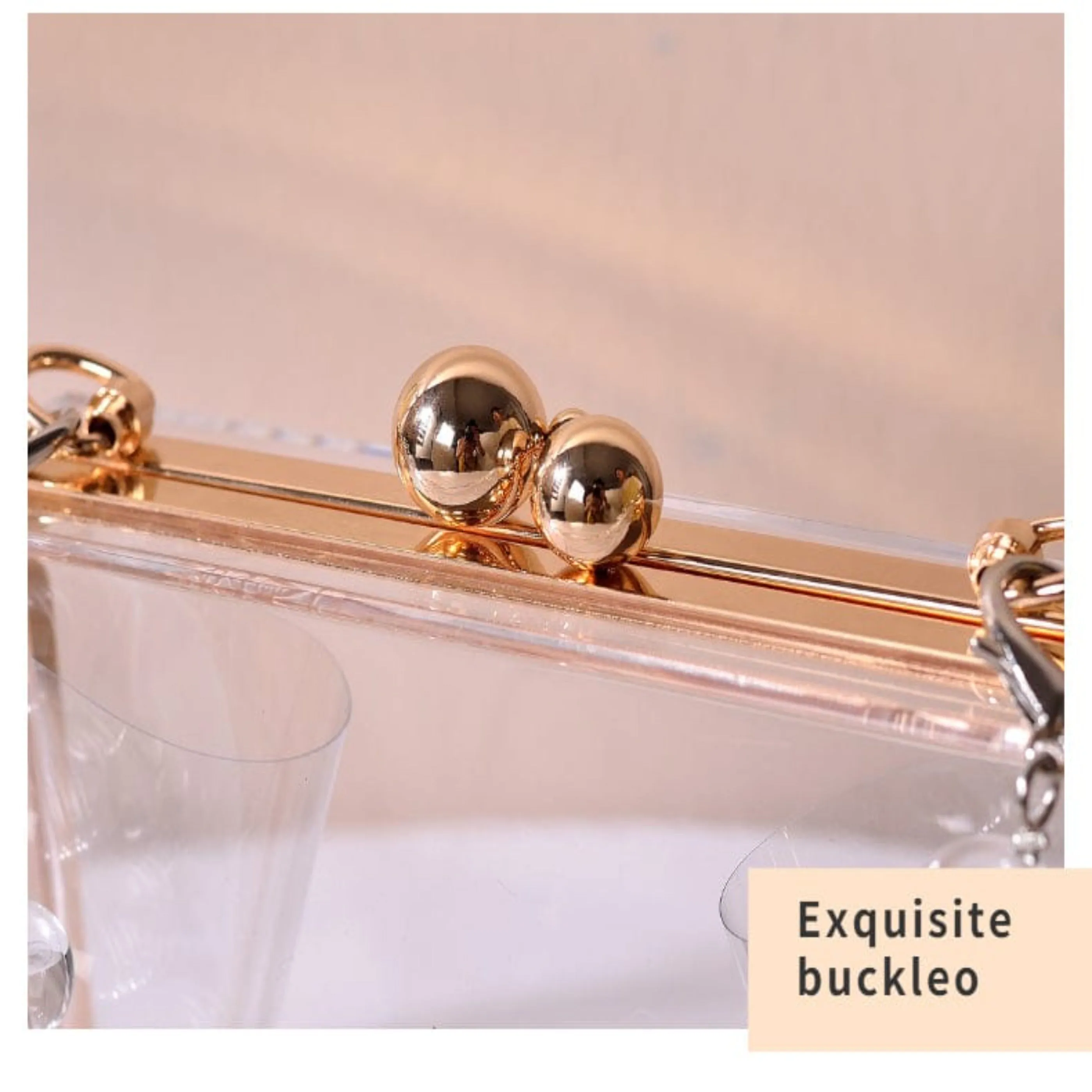 Designer Transparent Evening Clutch Purse