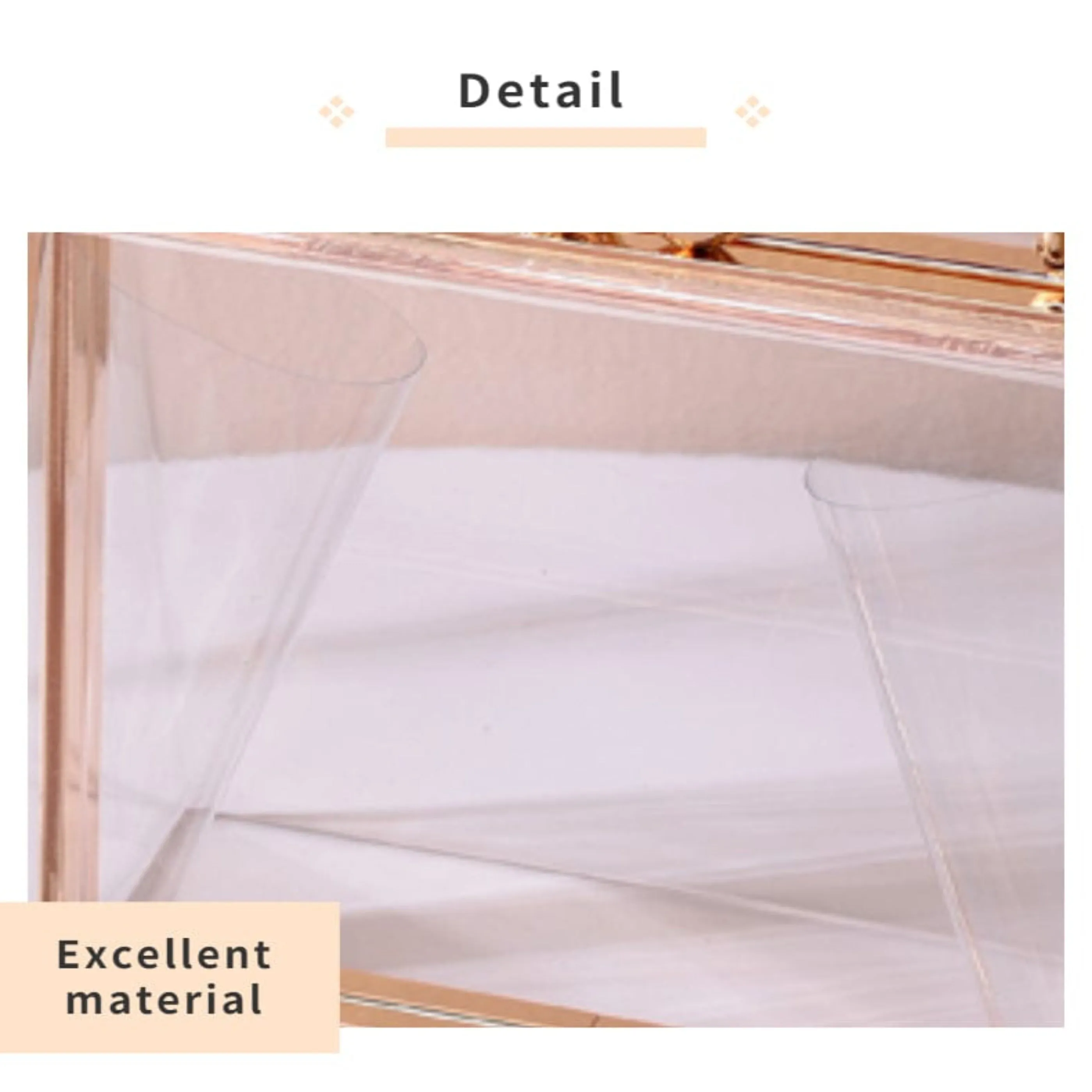 Designer Transparent Evening Clutch Purse